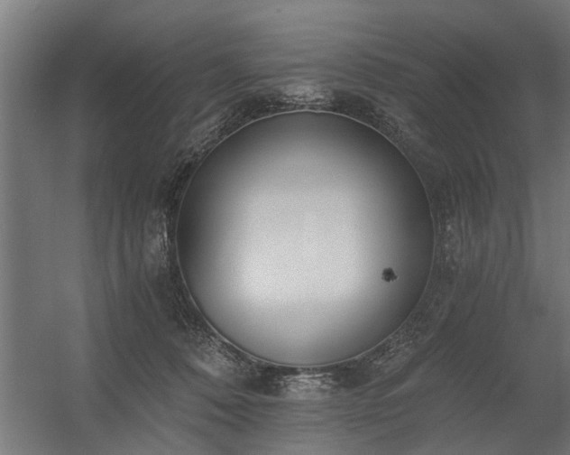 X0000056360320200509021755