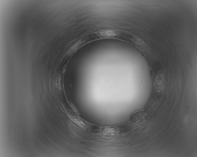 X0000056360330200509021754