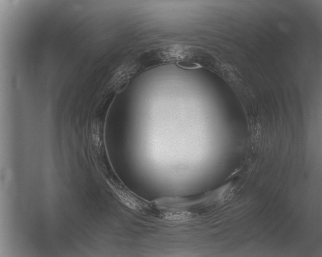 X0000056360331200509021754