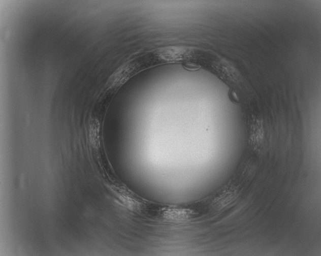 X0000056360332200509021754