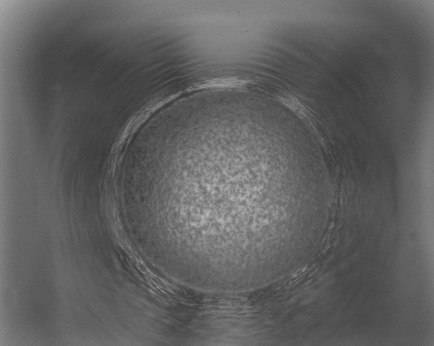 X0000056360337200509021754