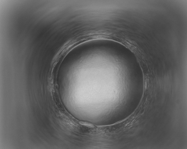 X0000056360339200509021754