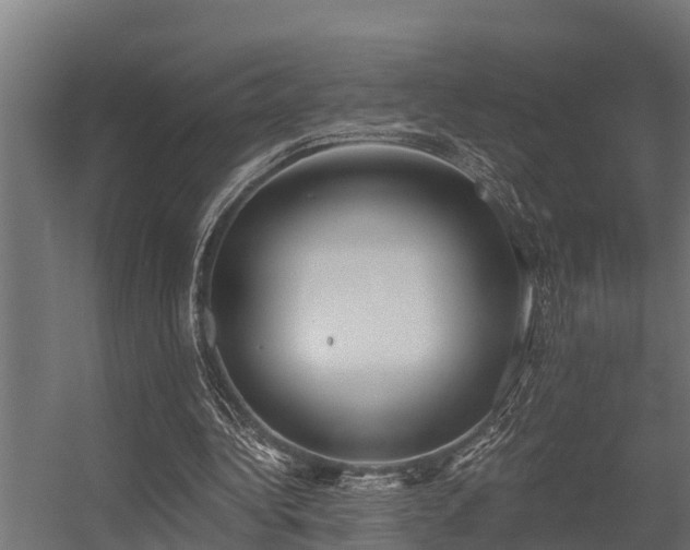 X0000056360340200509021754