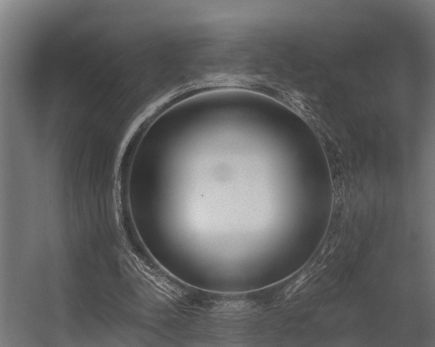 X0000056360342200509021754