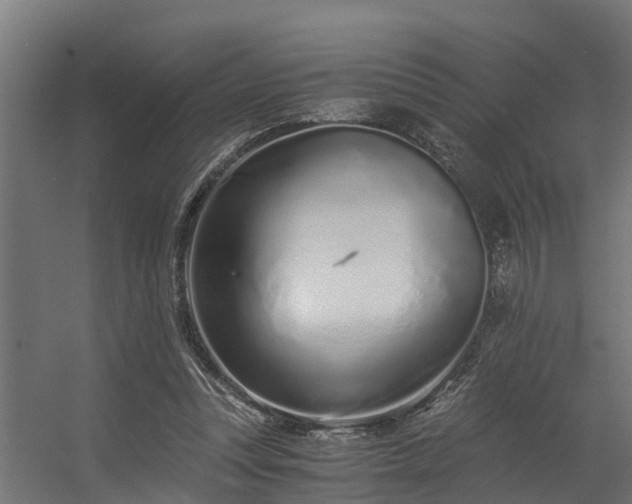 X0000056360351200509021754