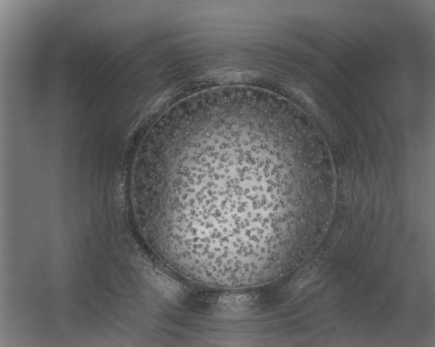 X0000056360357200509021754