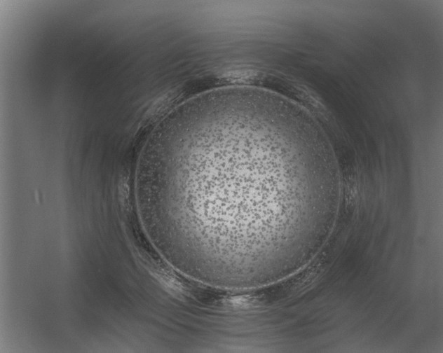 X0000056360365200509021754