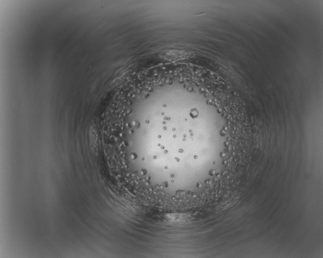 X0000056360371200509021754