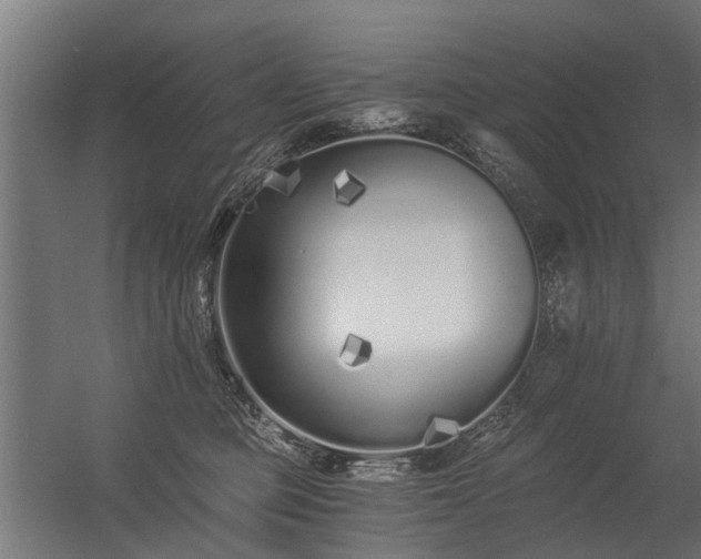 X0000056360373200509021754