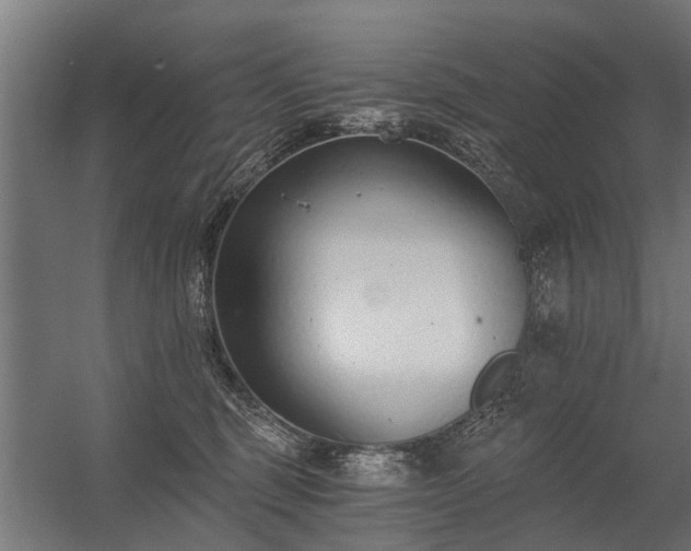 X0000056360375200509021754