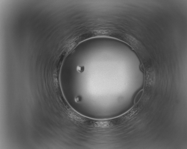 X0000056360377200509021754