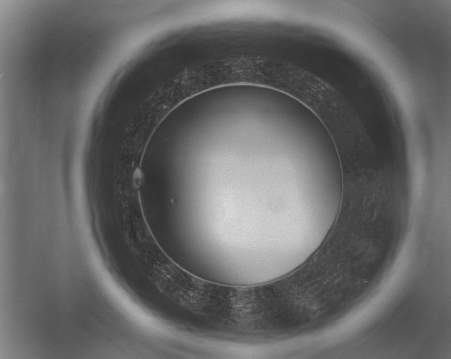 X0000056360382200509021754