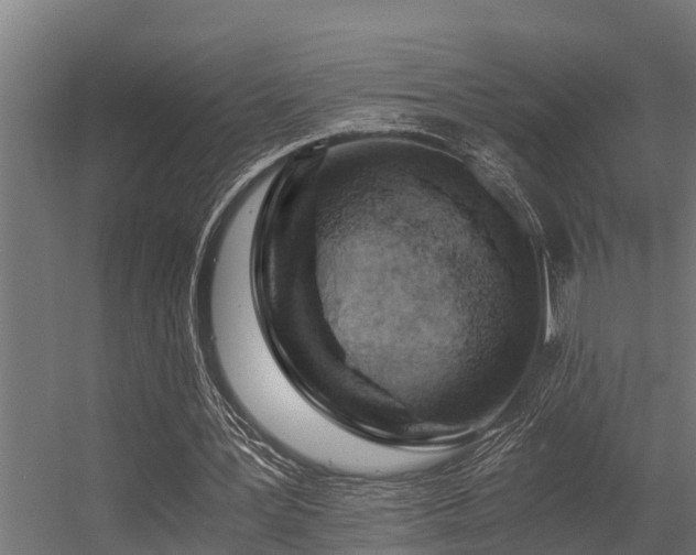 X0000056360387200509021753