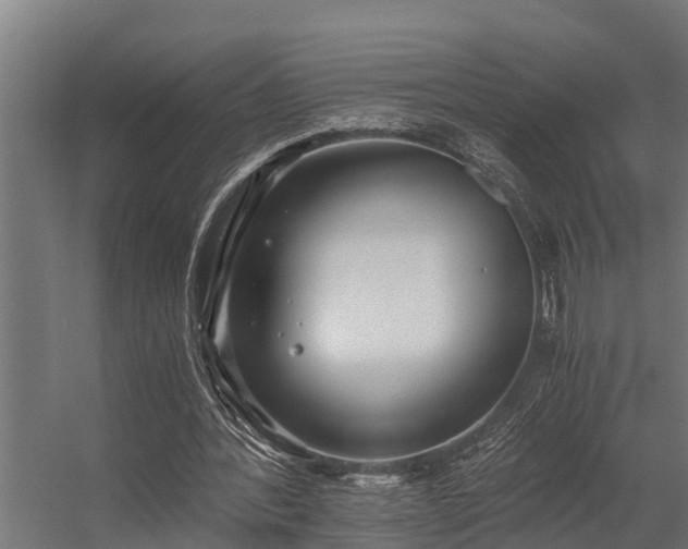 X0000056360388200509021753