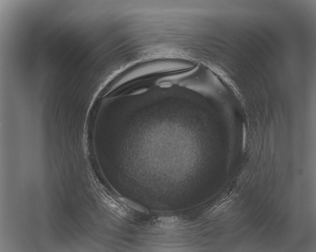 X0000056360391200509021753