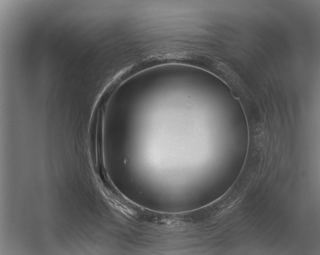 X0000056360395200509021753