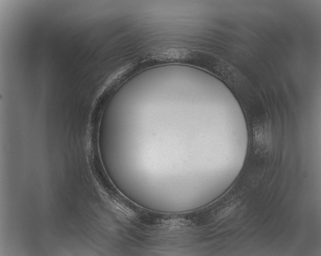 X0000056360396200509021753