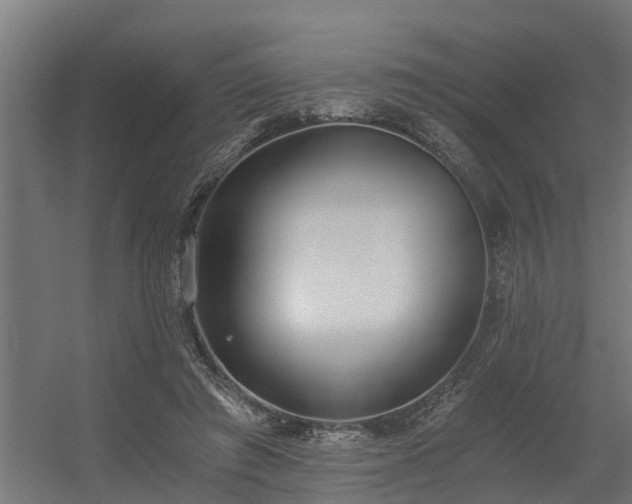 X0000056360401200509021753