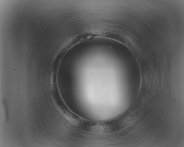 X0000056360404200509021753