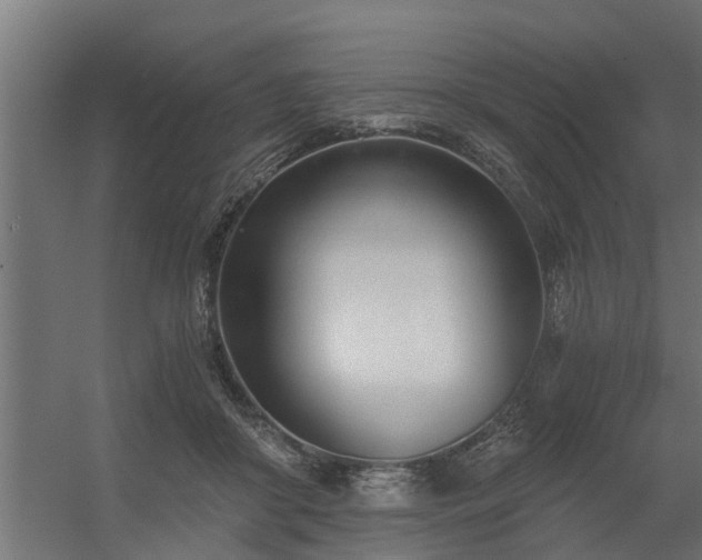 X0000056360410200509021753