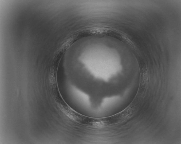 X0000056360411200509021753