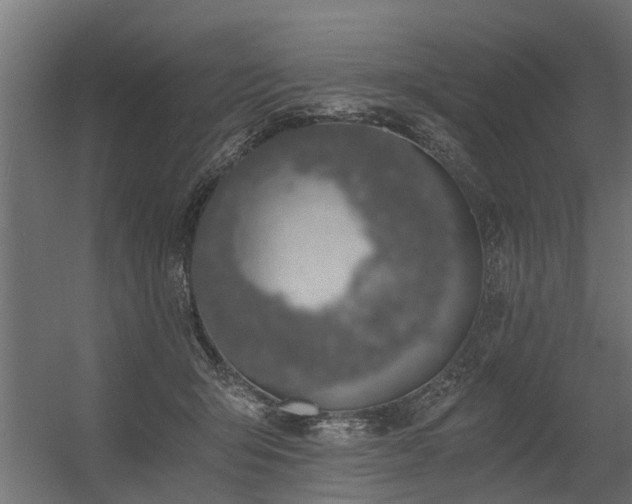 X0000056360415200509021753