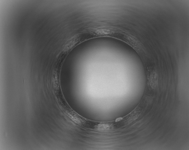 X0000056360418200509021753