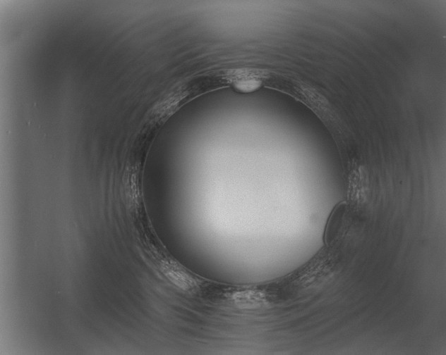 X0000056360426200509021753