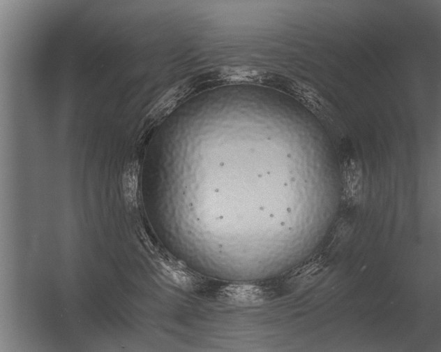 X0000056360427200509021753