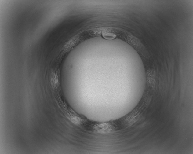 X0000056360431200509021753