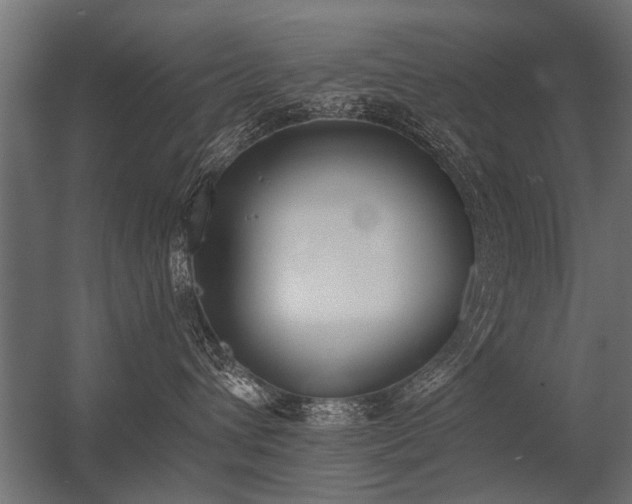 X0000056360432200509021753