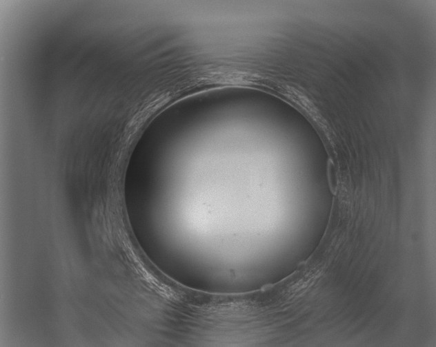 X0000056360433200509021752