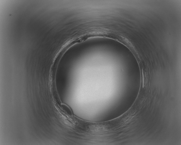 X0000056360435200509021752