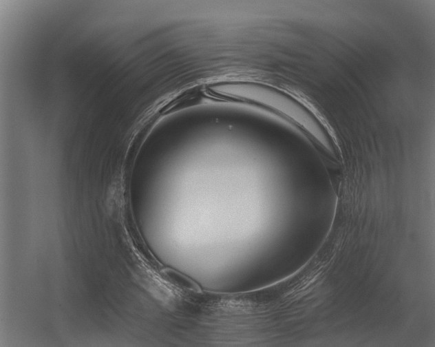 X0000056360437200509021752