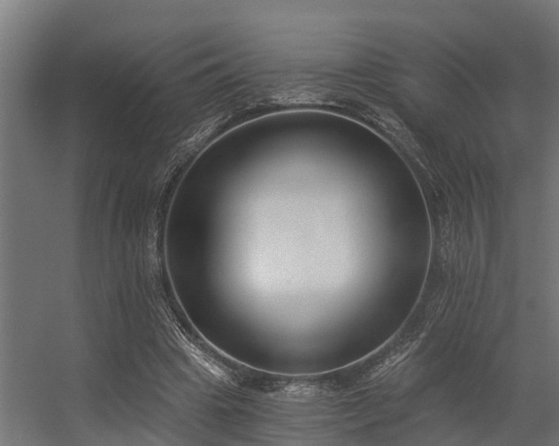 X0000056360441200509021752