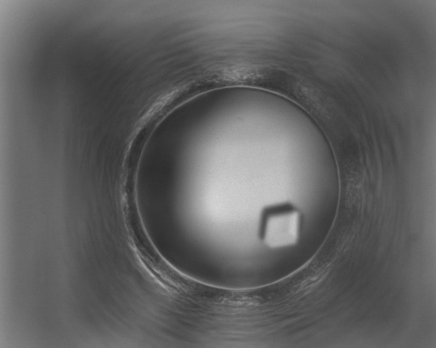 X0000056360443200509021752