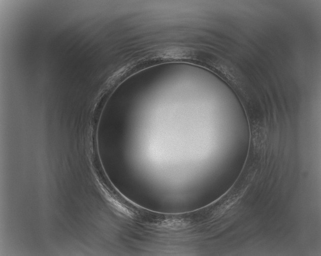 X0000056360445200509021752