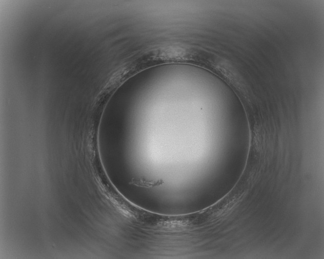 X0000056360449200509021752