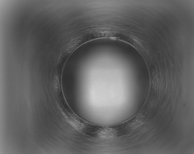 X0000056360459200509021752