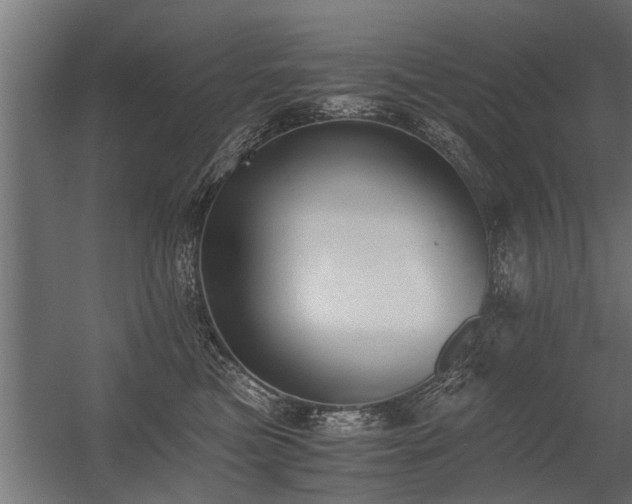 X0000056360473200509021753