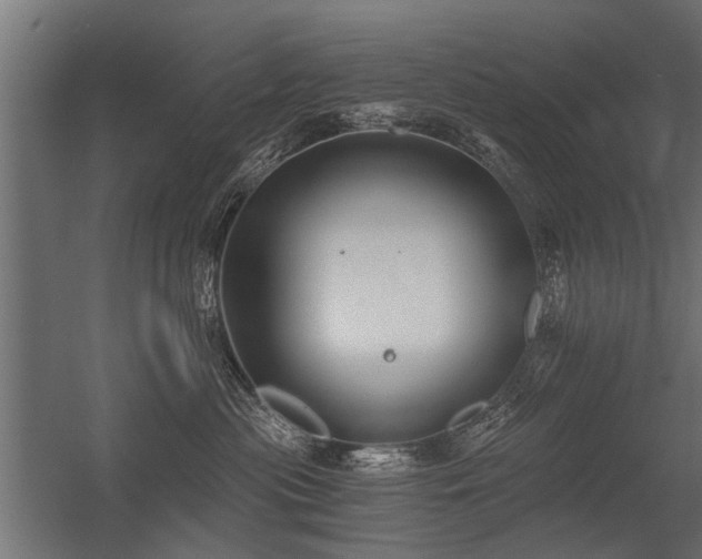 X0000056360477200509021753