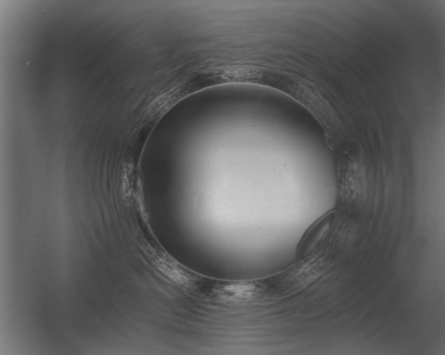 X0000056360478200509021753