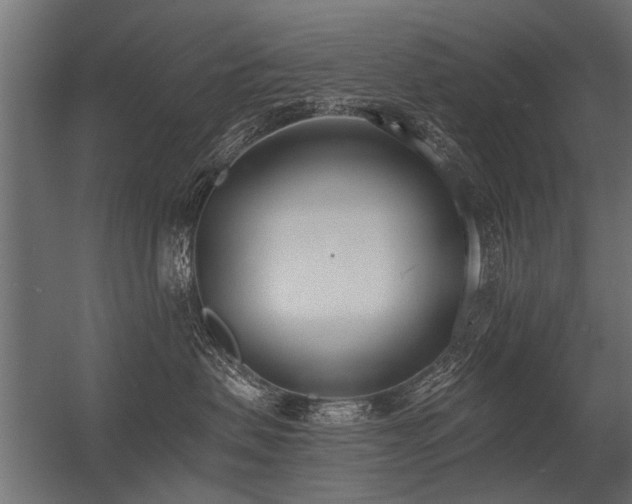 X0000056360479200509021753