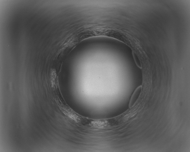 X0000056360480200509021753