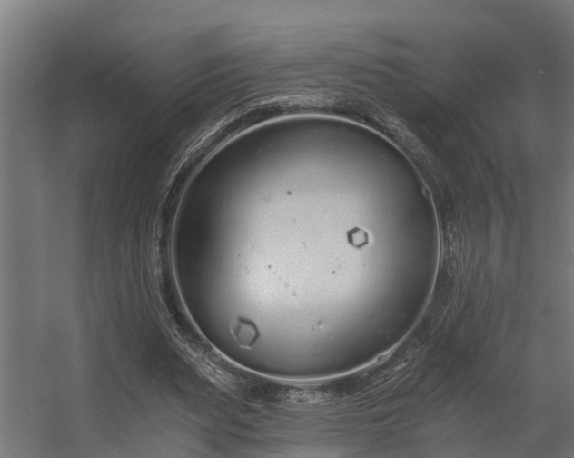 X0000056360487200509021752