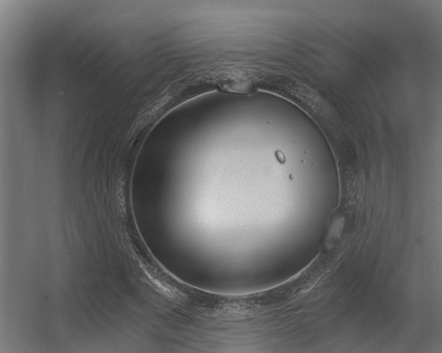 X0000056360489200509021752