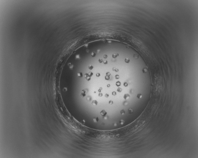 X0000056360494200509021752