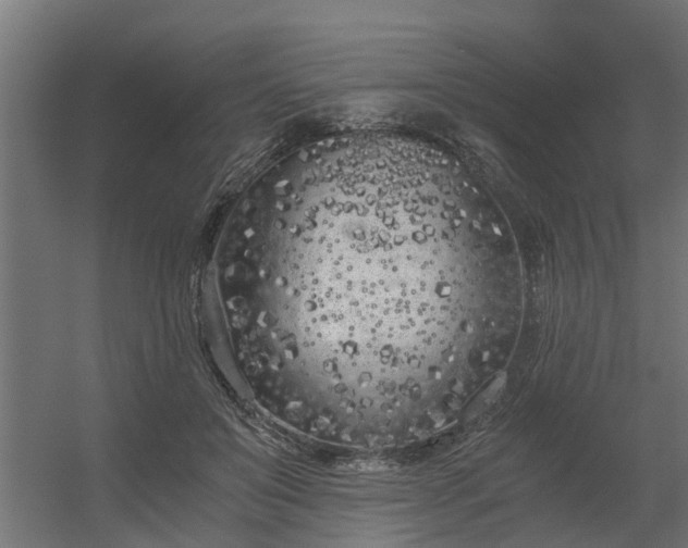 X0000056360503200509021752