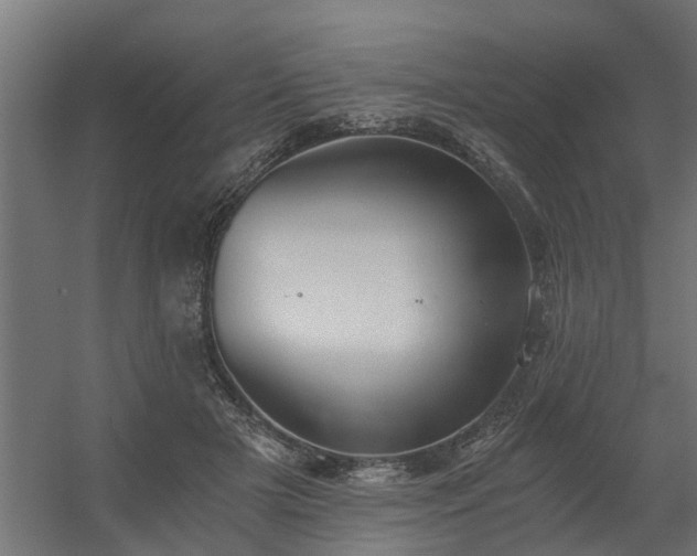 X0000056360505200509021751