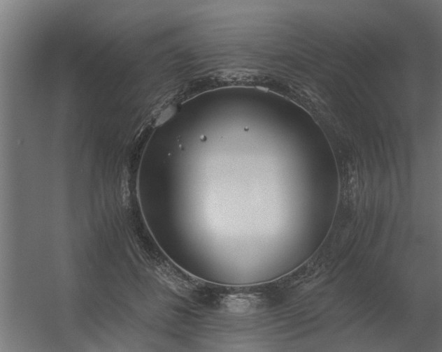 X0000056360508200509021751